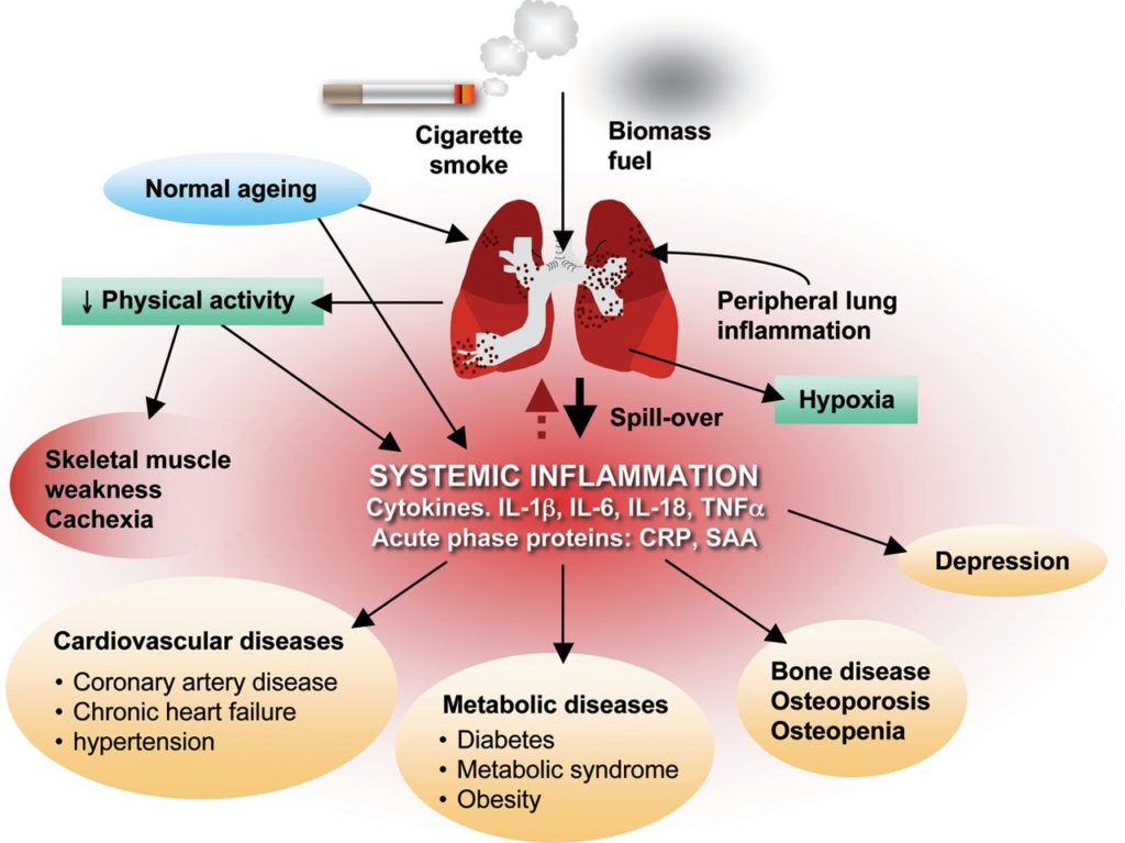 copd physiologic dead space