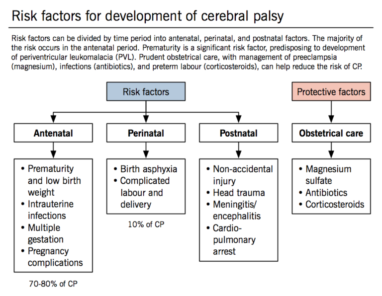 Part III Cerebral Palsy – How it’s diagnosed and treated! | Strive For ...