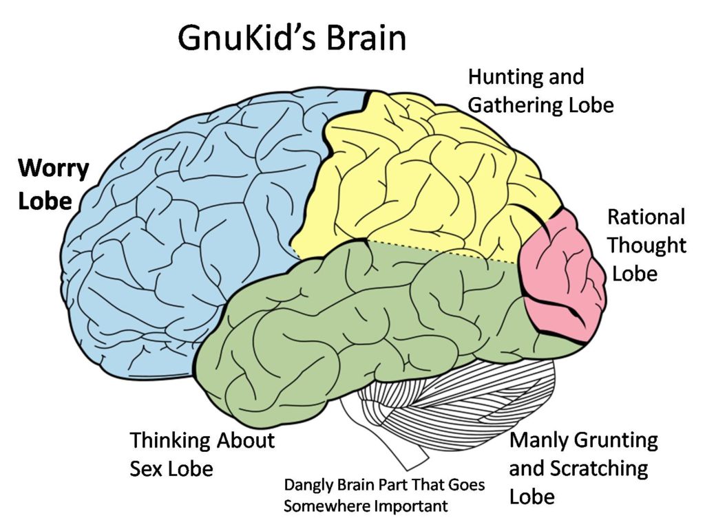 The Brain and how it works! | Strive For Good Health